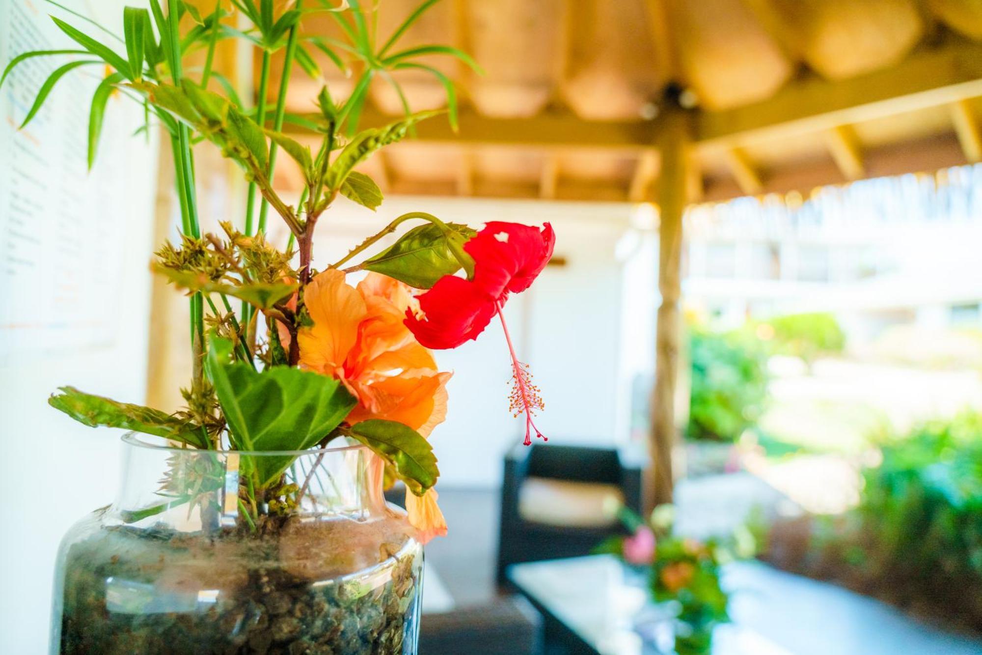 Matariki Sunset Apart Hotel Χάνγκα Ρόα Εξωτερικό φωτογραφία