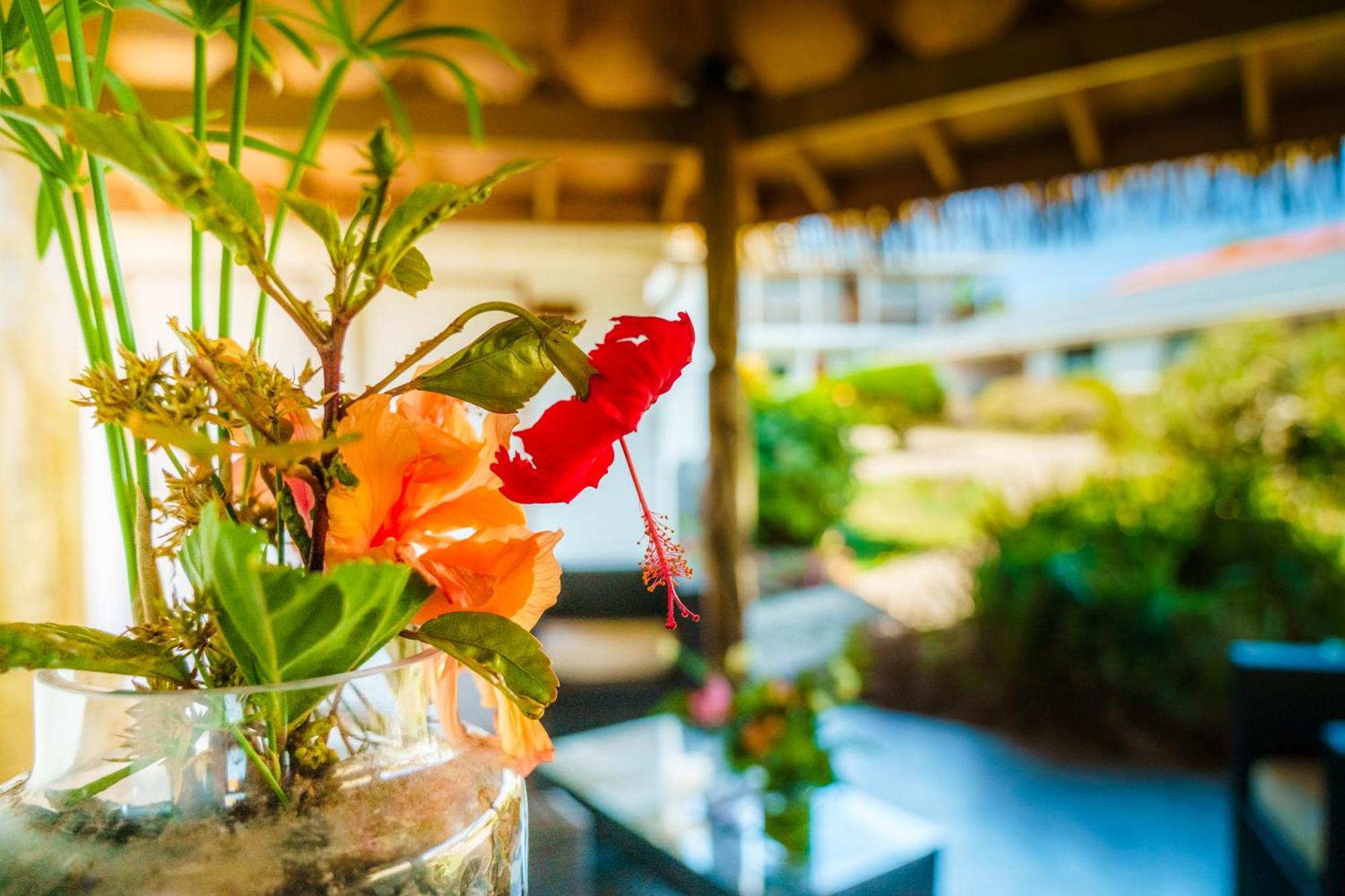 Matariki Sunset Apart Hotel Χάνγκα Ρόα Εξωτερικό φωτογραφία